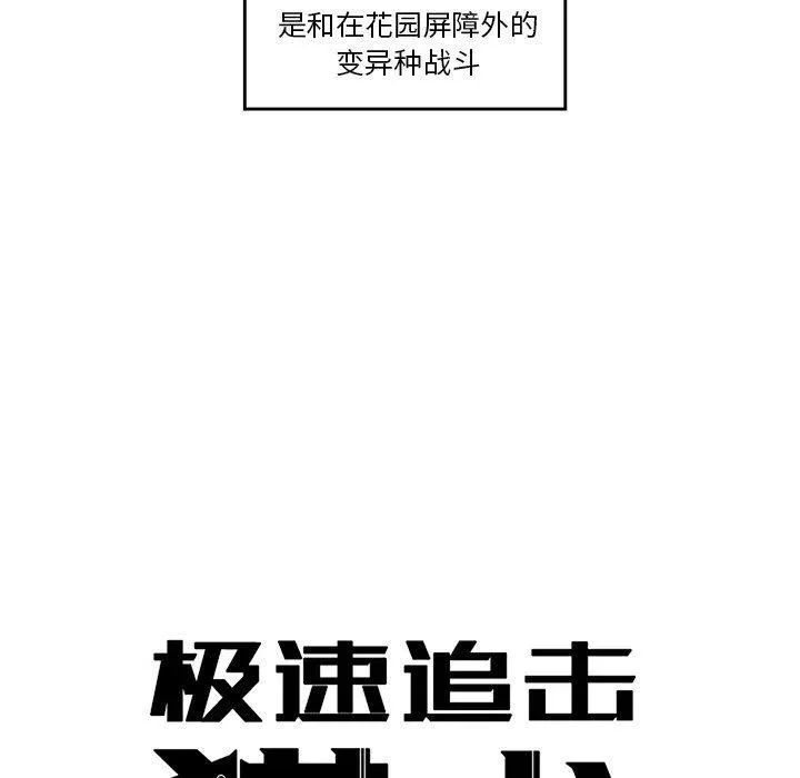31 第8页