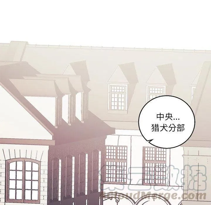 31 第28页