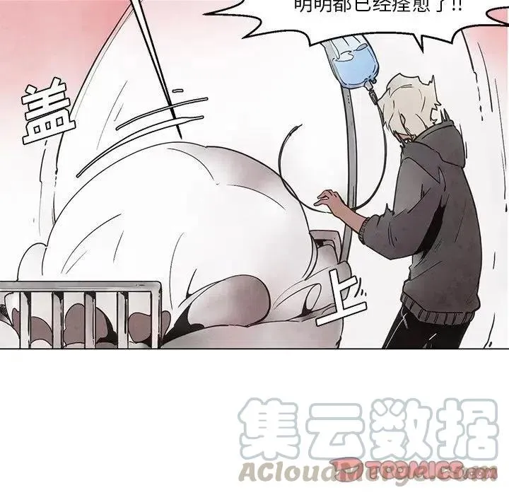 38 第11页