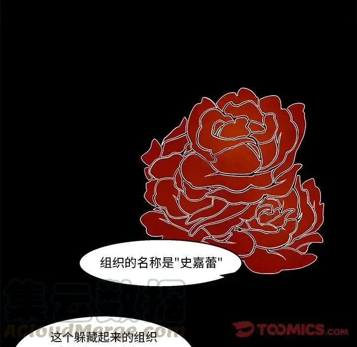 41 第17页