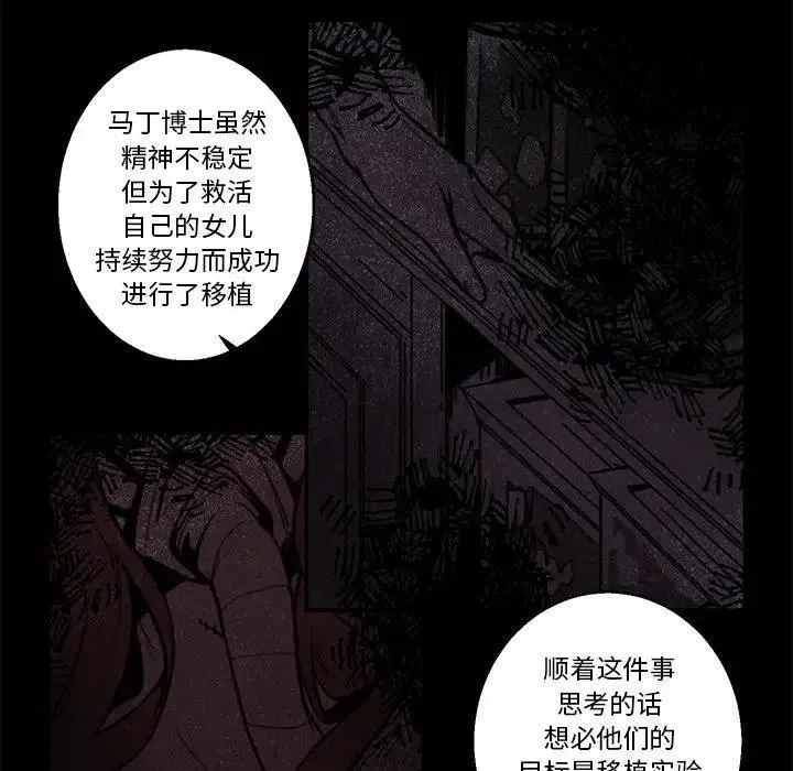41 第22页