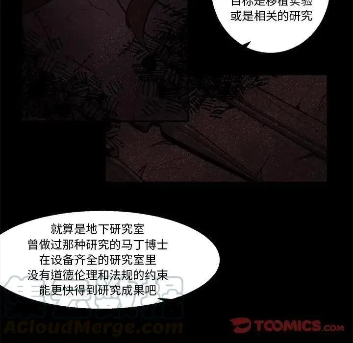41 第23页
