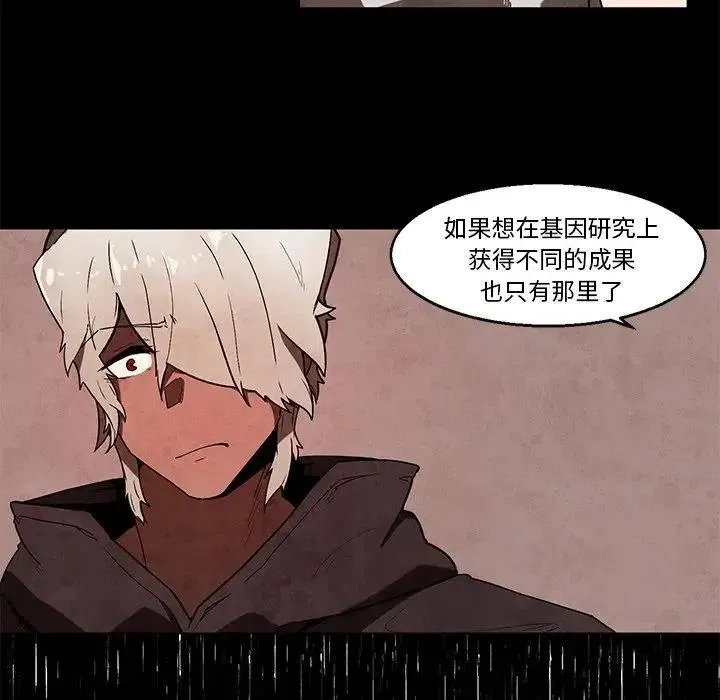 41 第26页
