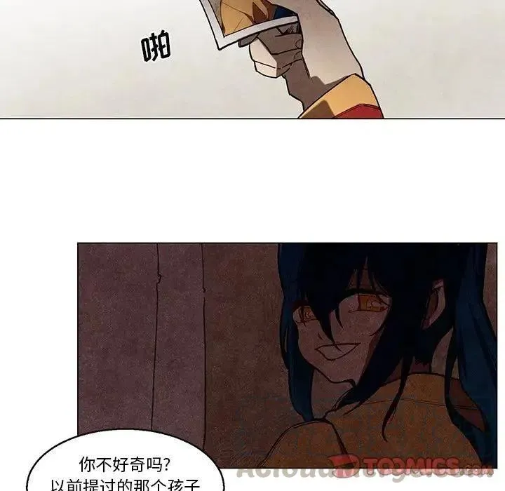 41 第31页