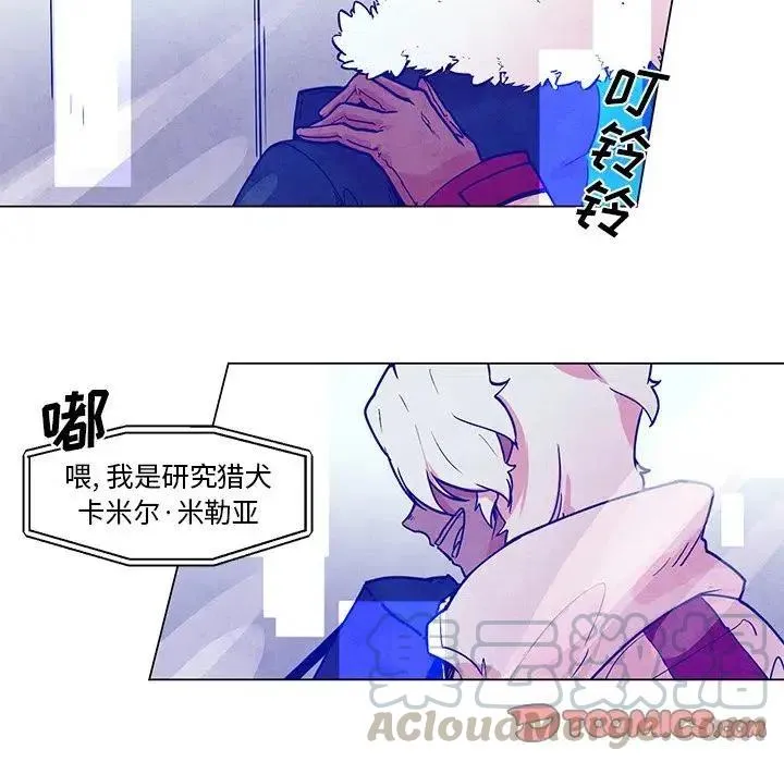 43 第17页