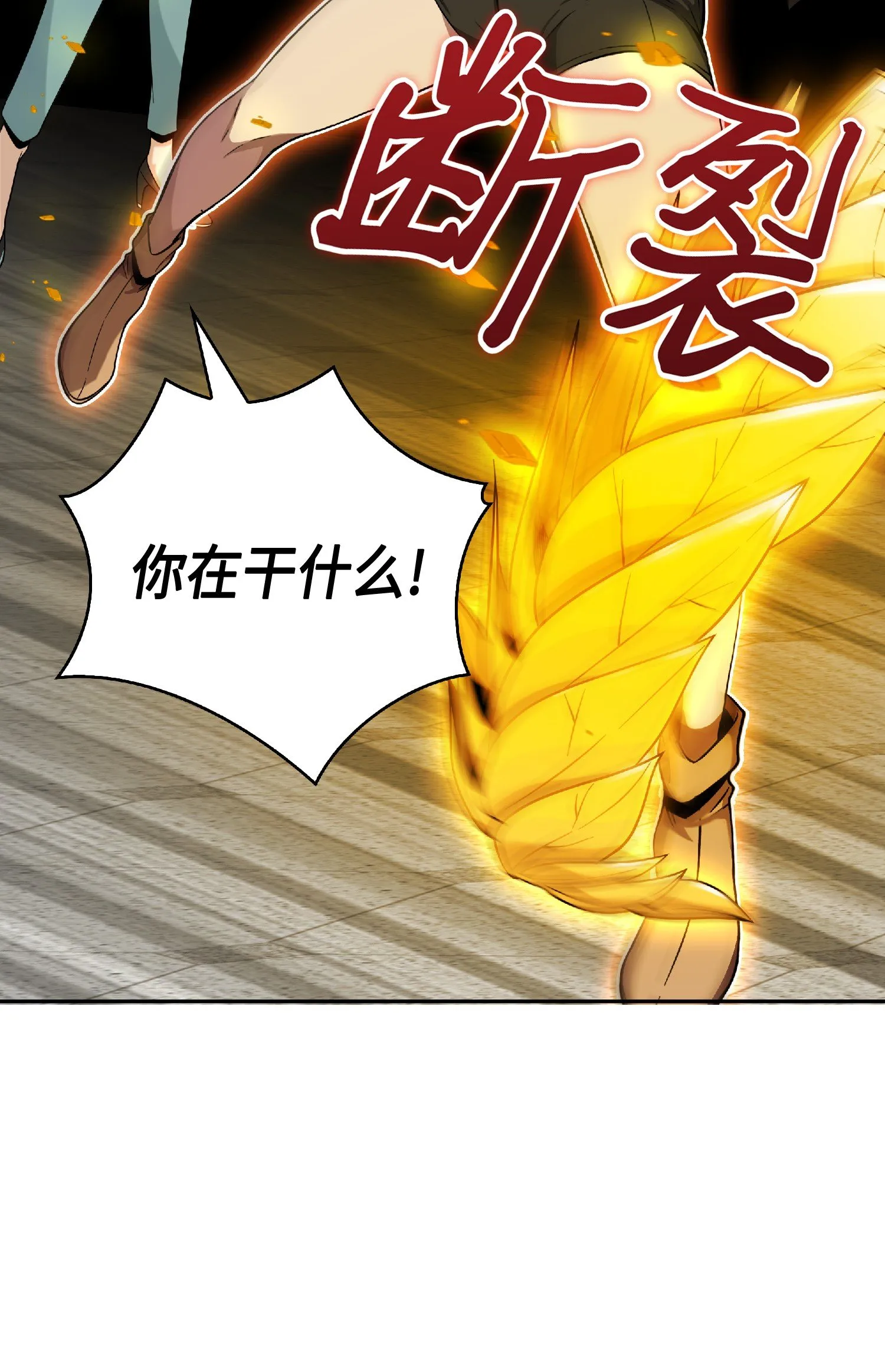 085 骗局的延续 第11页