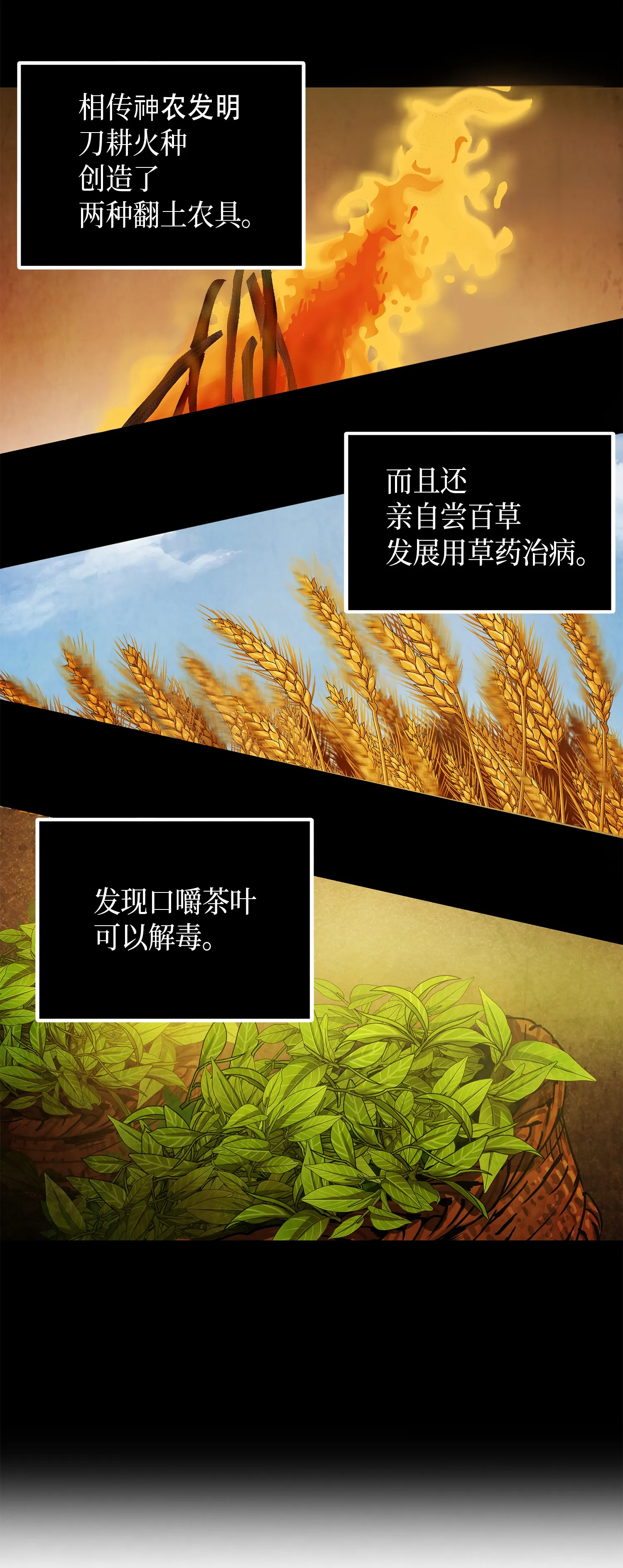 061 神农之宝物 第59页