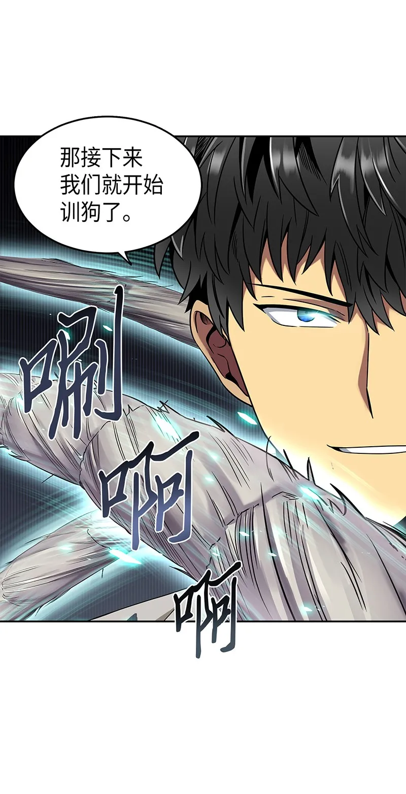 076 训练狗狗 第17页