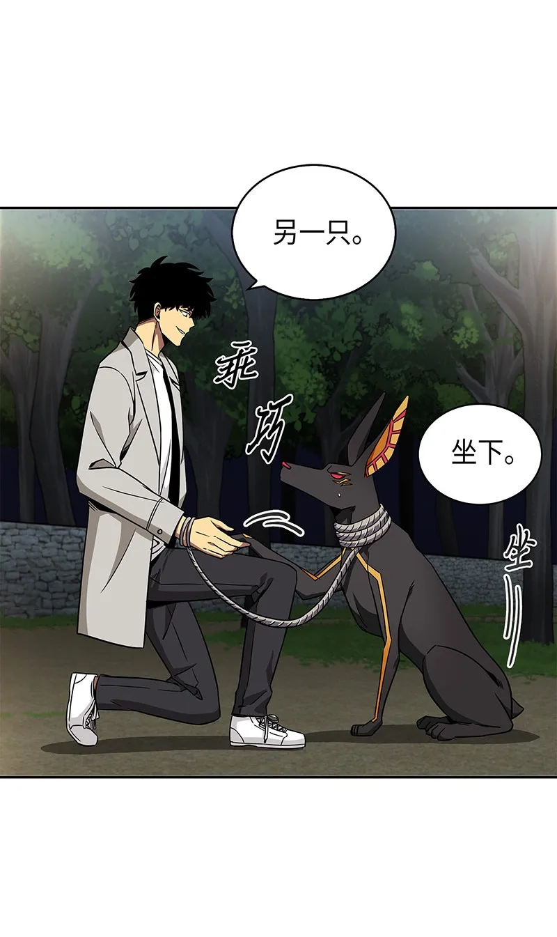 076 训练狗狗 第26页