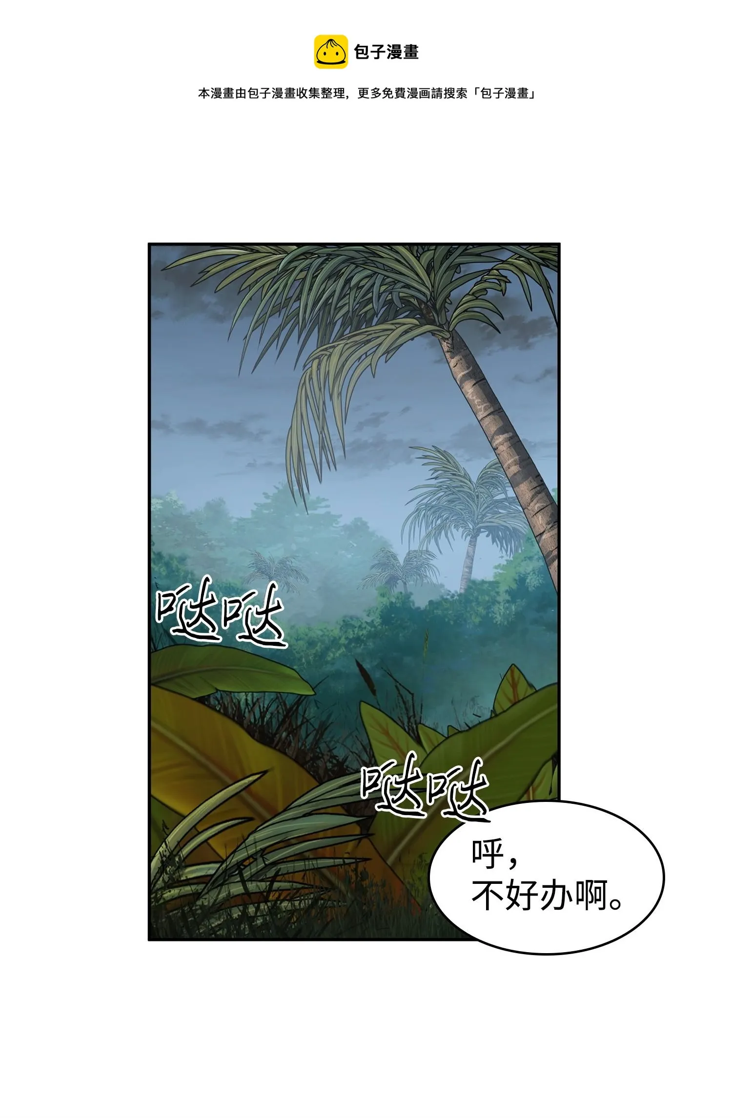 244 乌鸦 第29页