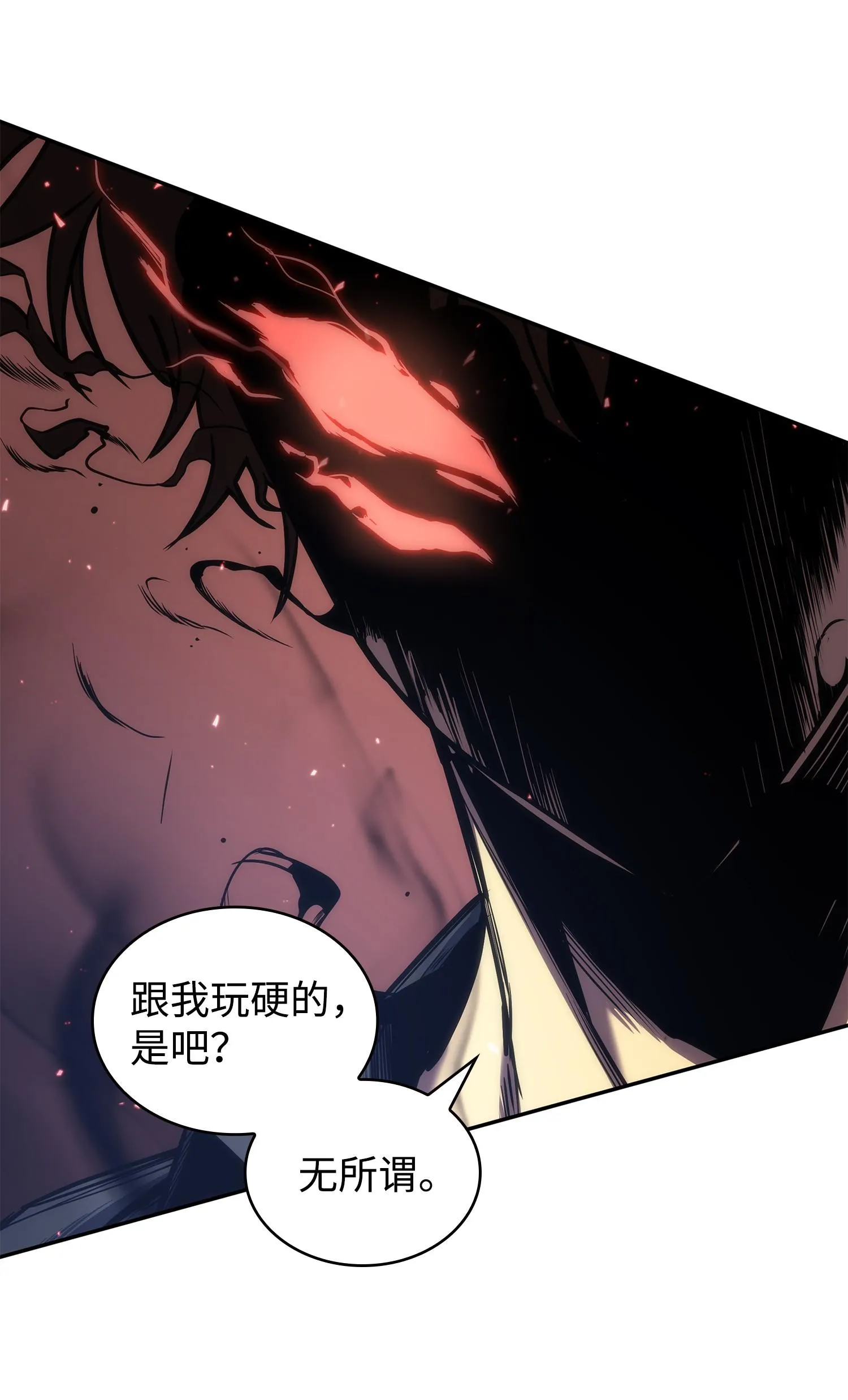 247 乌鸦的目的 第54页