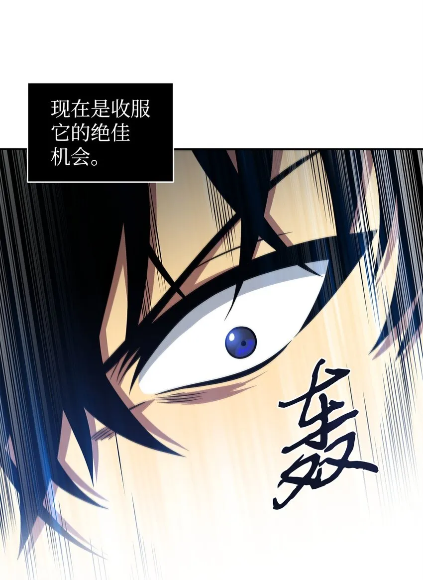 300 服从训练 第14页