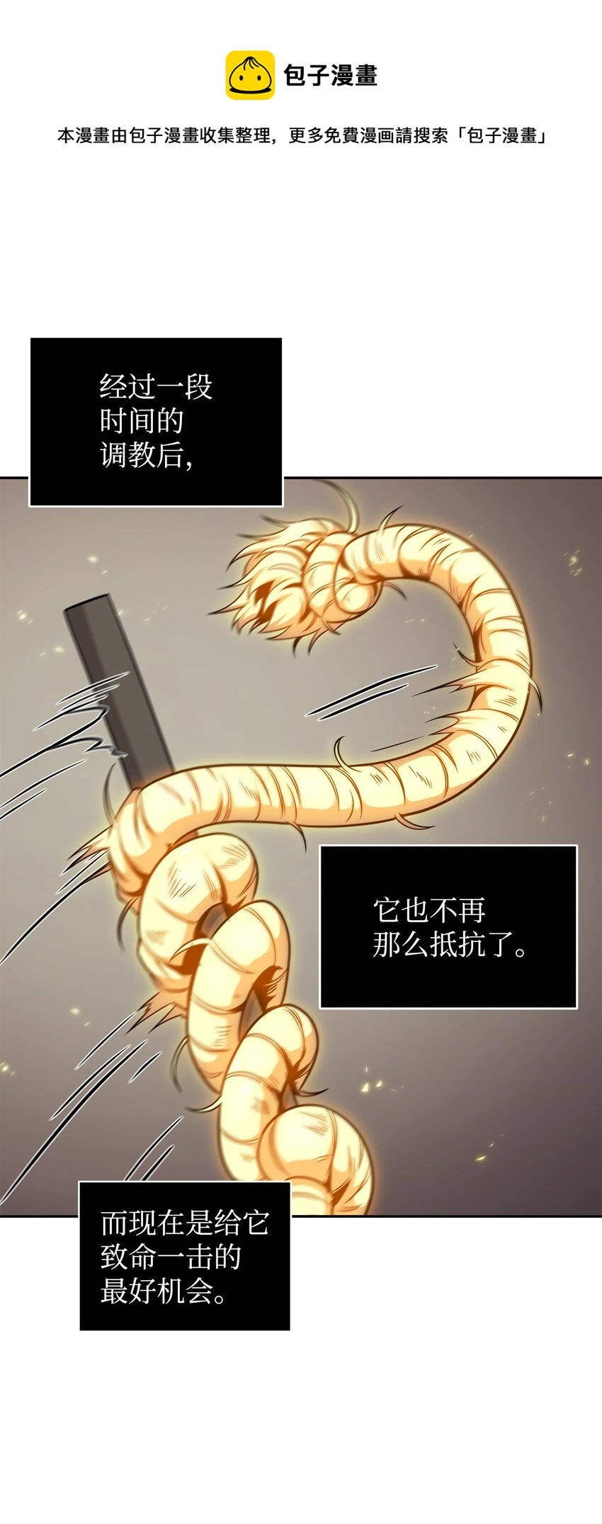 300 服从训练 第61页