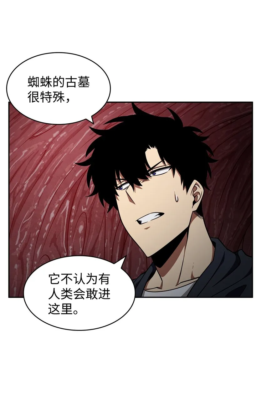 314 倔强的蜘蛛 第29页