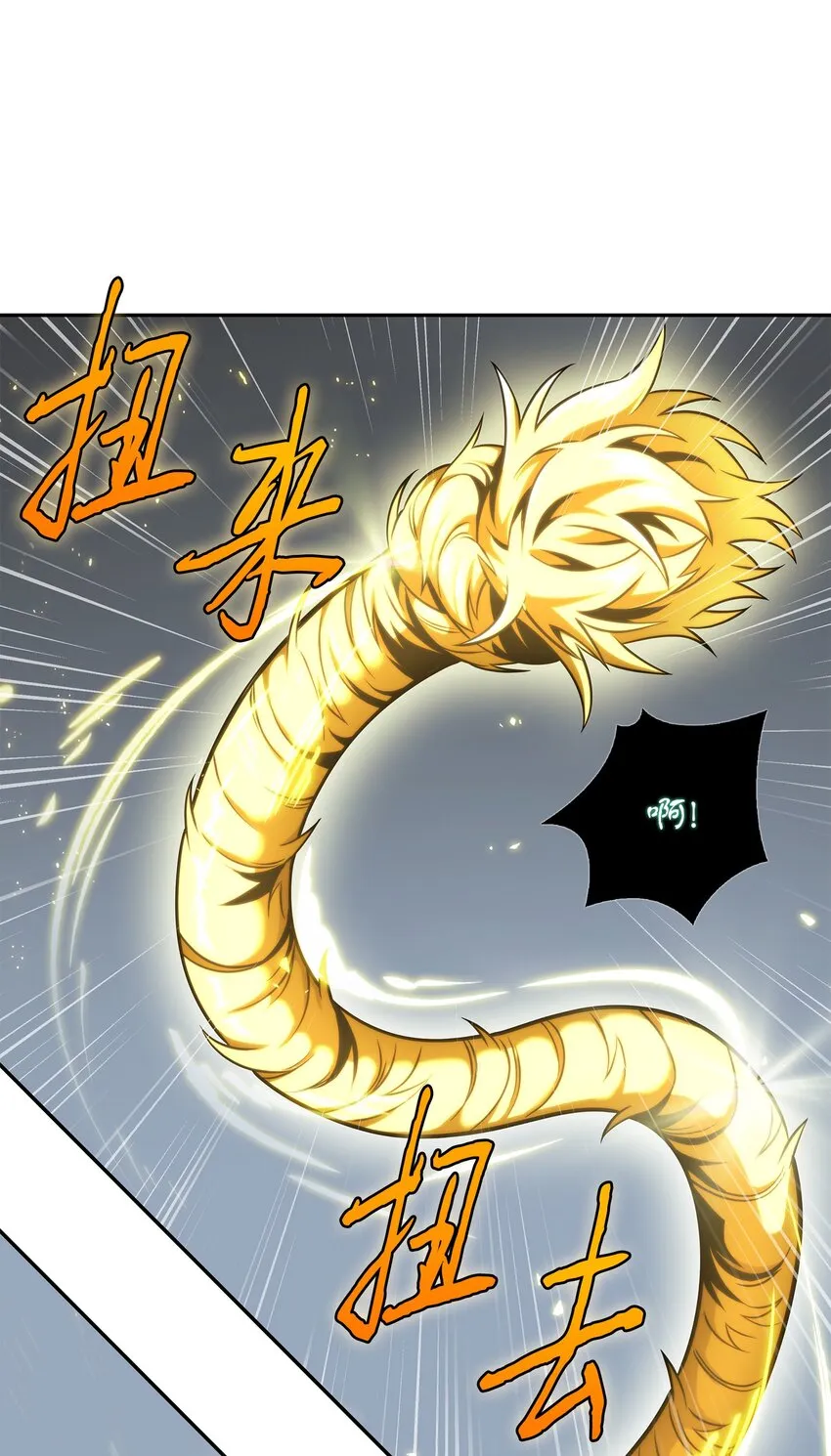 322 至宝绳纹链 第55页