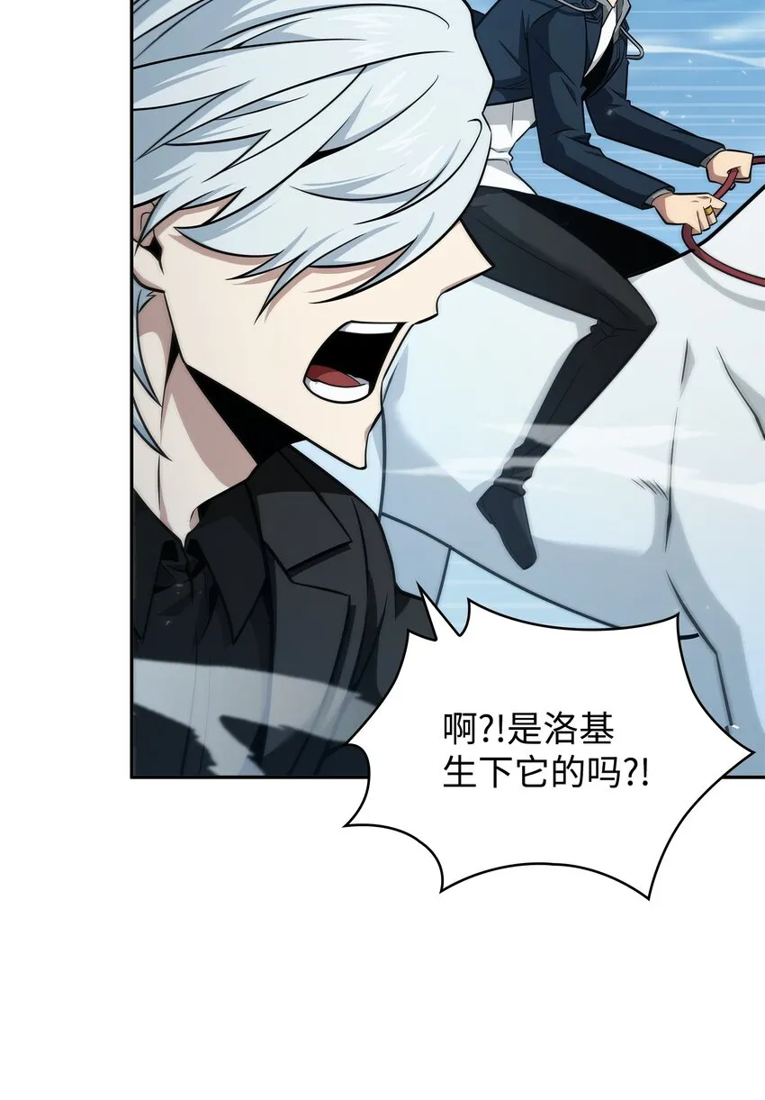 351 斯雷普尼尔 第17页