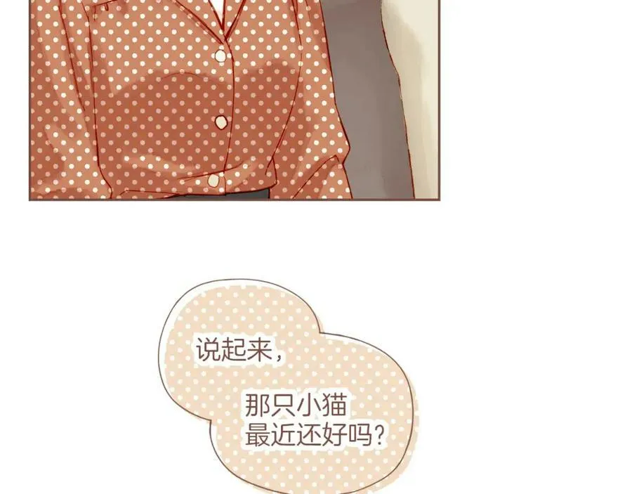 第21话 咖啡加糖也还是苦的（下） 第47页