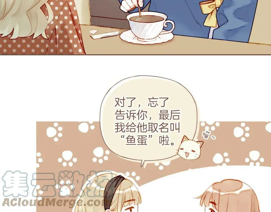 第21话 咖啡加糖也还是苦的（下） 第49页