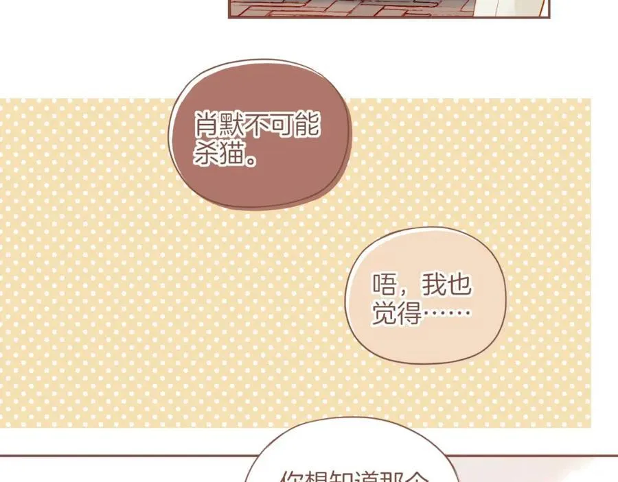 第29话 女孩、侦探、流浪狗（下） 第23页