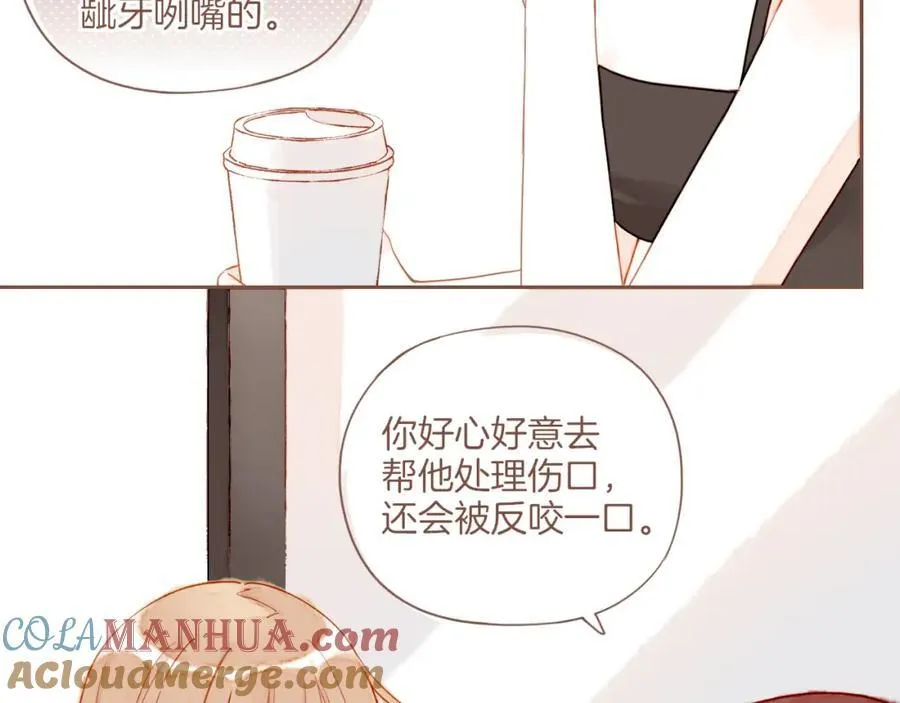 第29话 女孩、侦探、流浪狗（下） 第43页