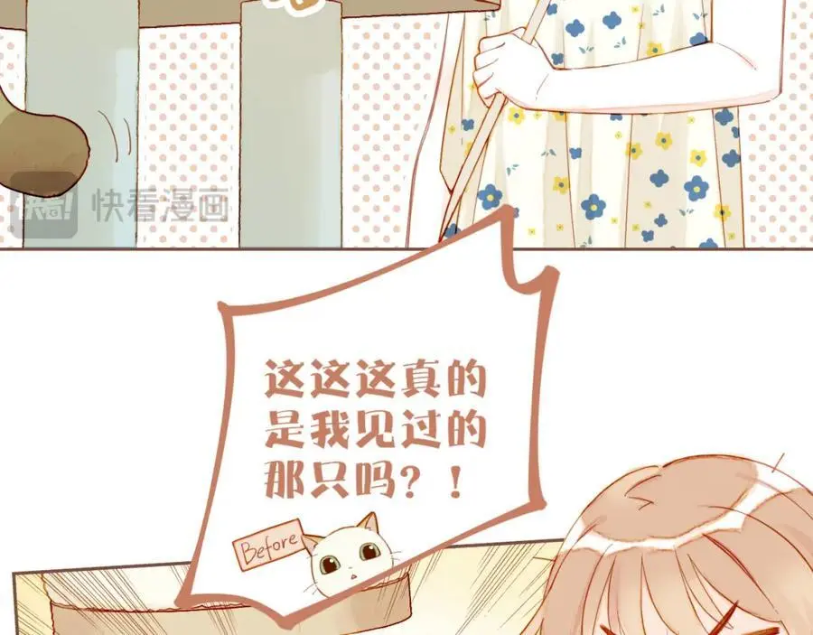 第34话 受伤的话，会很疼吧？（上） 第45页