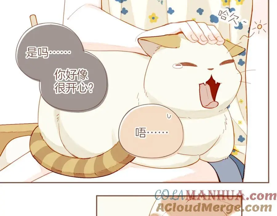 第34话 受伤的话，会很疼吧？（上） 第52页