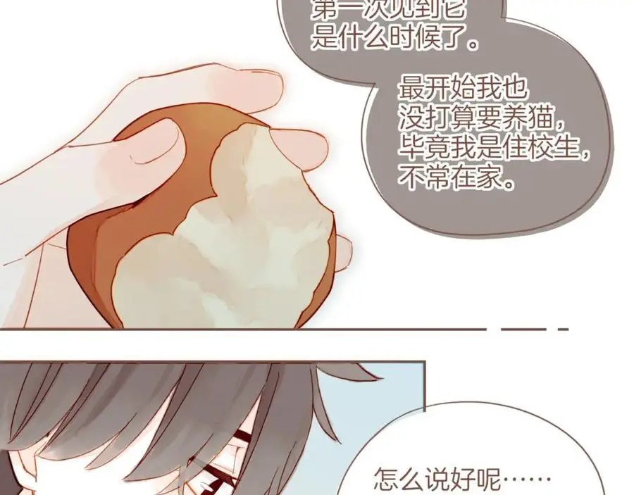第34话 受伤的话，会很疼吧？（上） 第62页