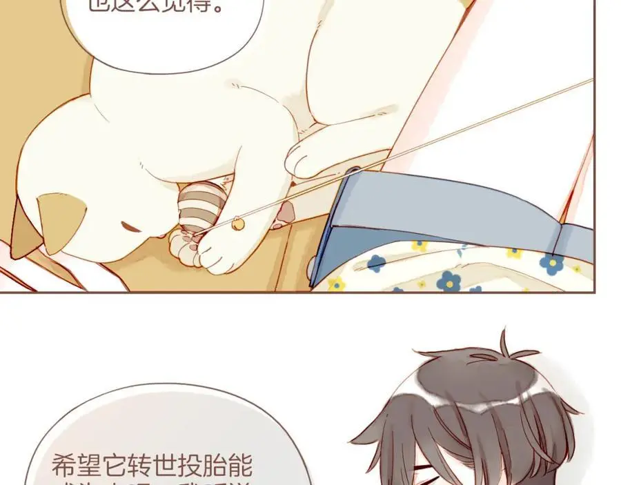 第34话 受伤的话，会很疼吧？（上） 第66页
