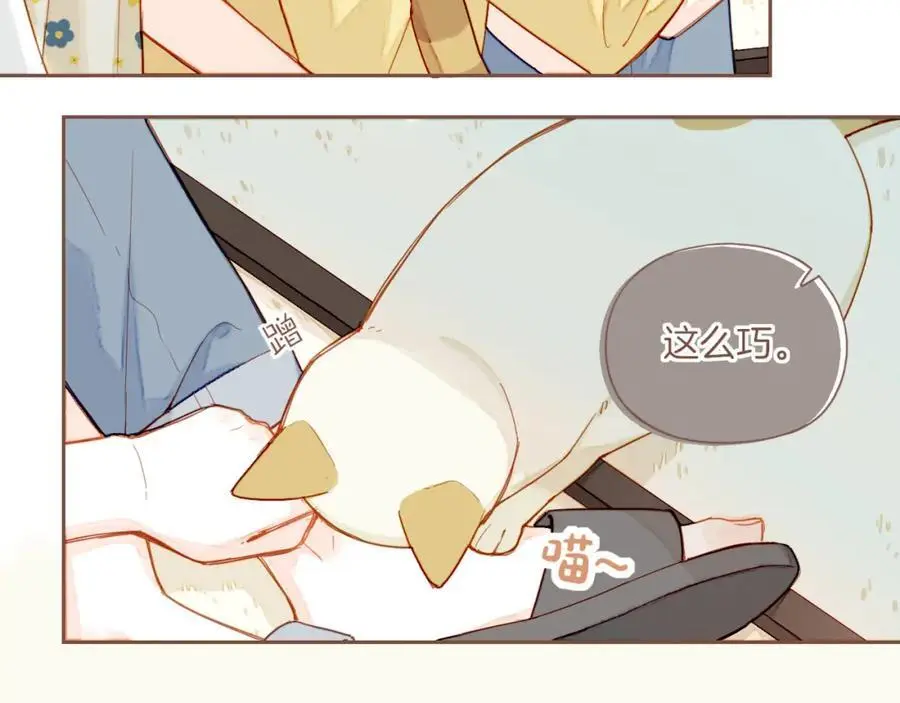 第35话 受伤的话，会很疼吧？（下） 第6页