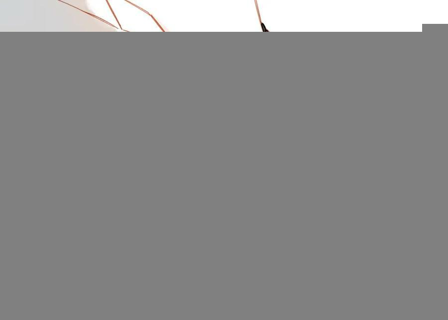 第26话 摇摆不定，捉摸不透（上） 第68页