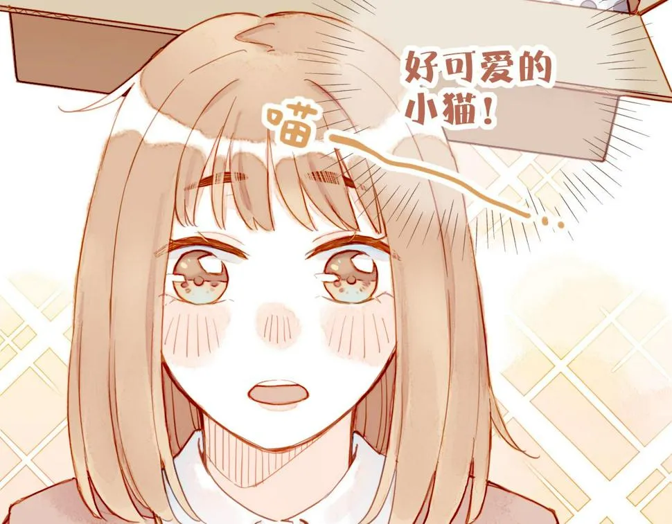 第12话 装在盒子里的是秘密（上） 第16页