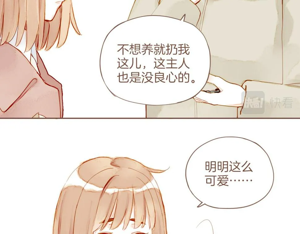 第12话 装在盒子里的是秘密（上） 第19页