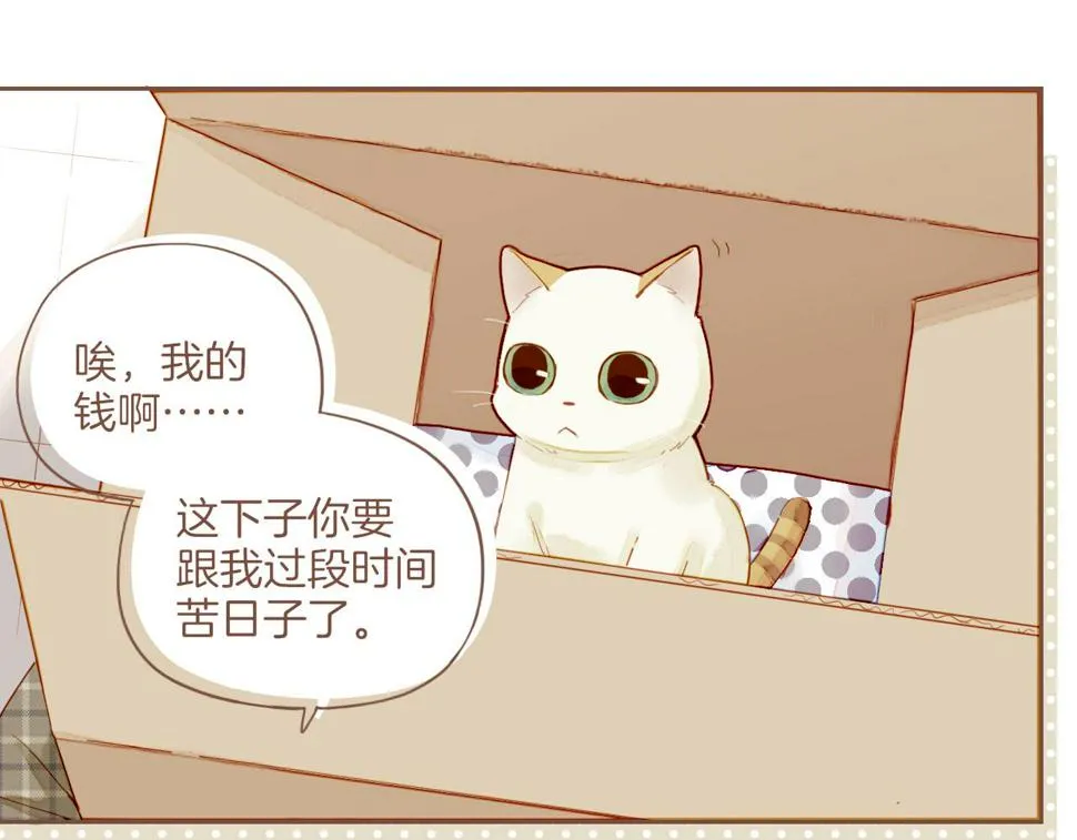 第12话 装在盒子里的是秘密（上） 第47页