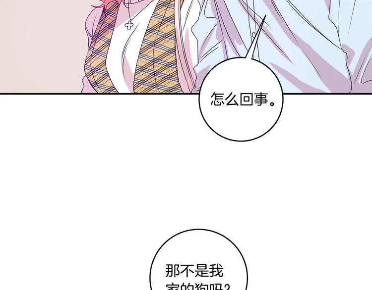 第5话 帮忙抓狗 第27页