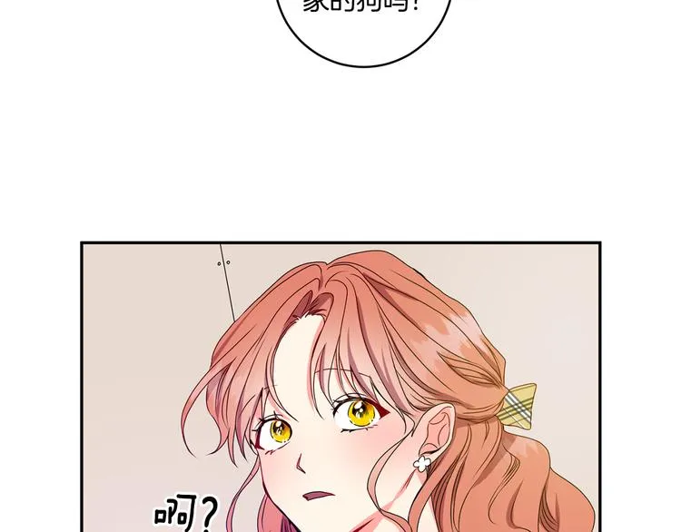 第5话 帮忙抓狗 第28页