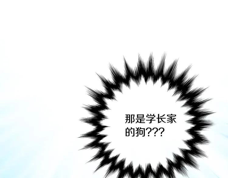 第5话 帮忙抓狗 第31页