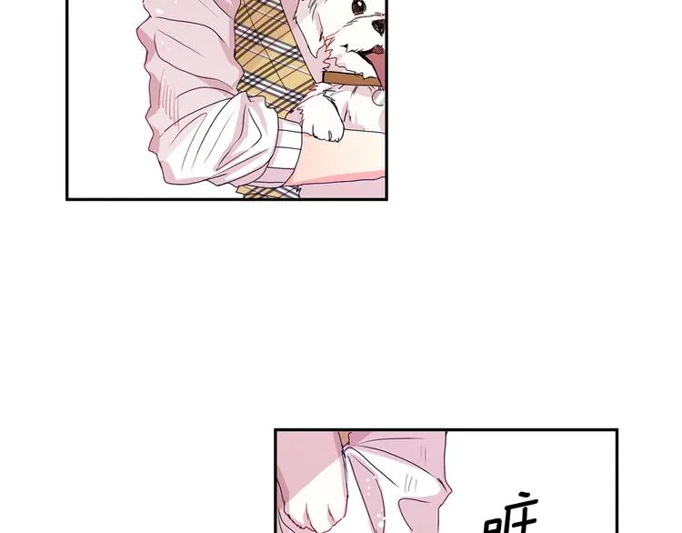 第5话 帮忙抓狗 第39页