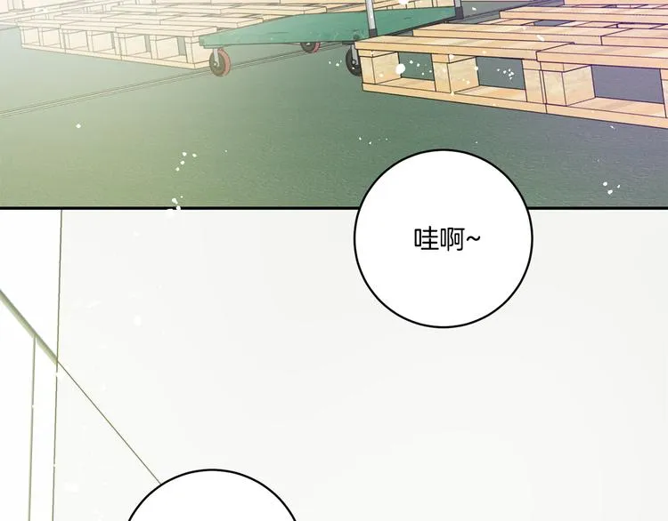 第8集 进入初选 第14页