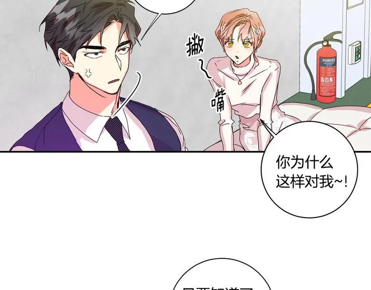 第8集 进入初选 第36页