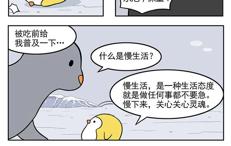 第9话 遇到小海豹 第4页