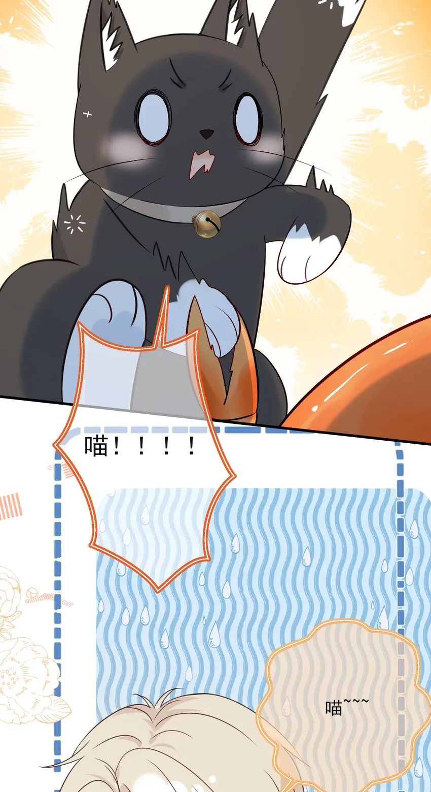 037 三豆竟然是……？！ 第47页