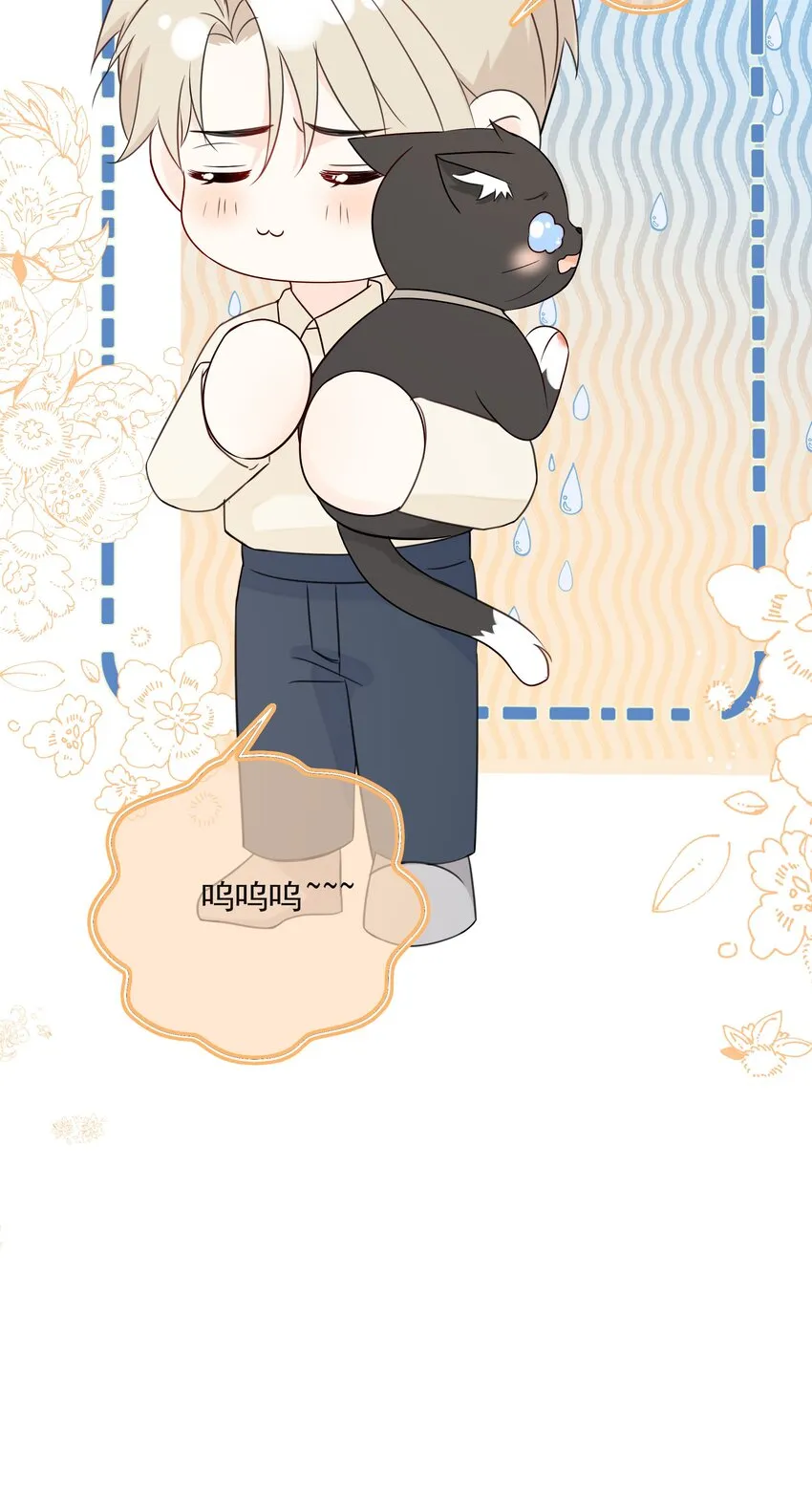 037 三豆竟然是……？！ 第48页