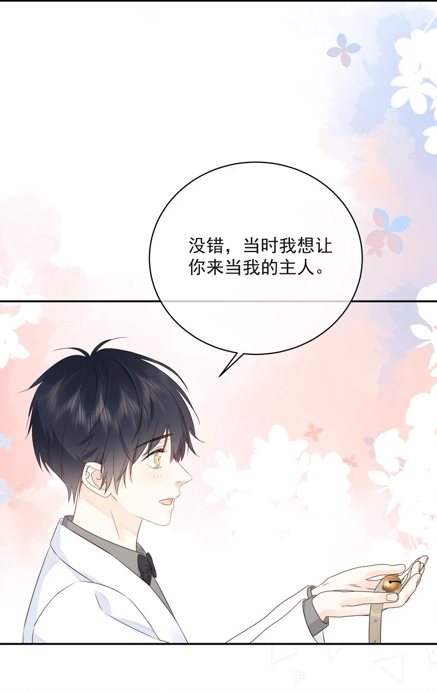 046 教你撸猫哦~ 第4页