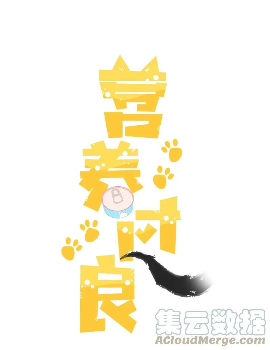 048 它们好看吗？ 第48页