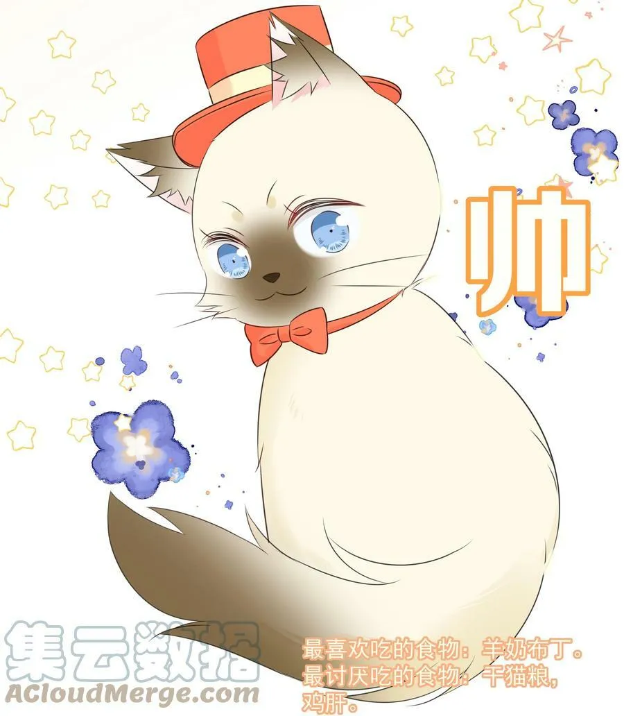 051 爱情的结晶？ 第43页