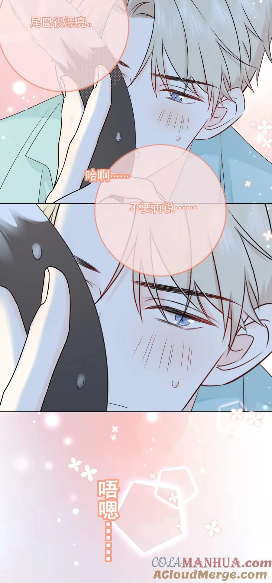 054 我有猫了，也有主了 第25页