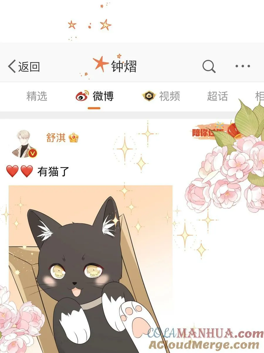 054 我有猫了，也有主了 第40页