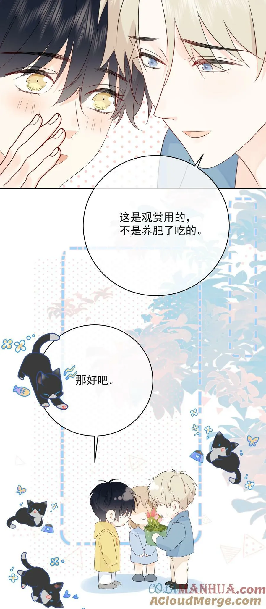 番外1 养猫轶事 第7页