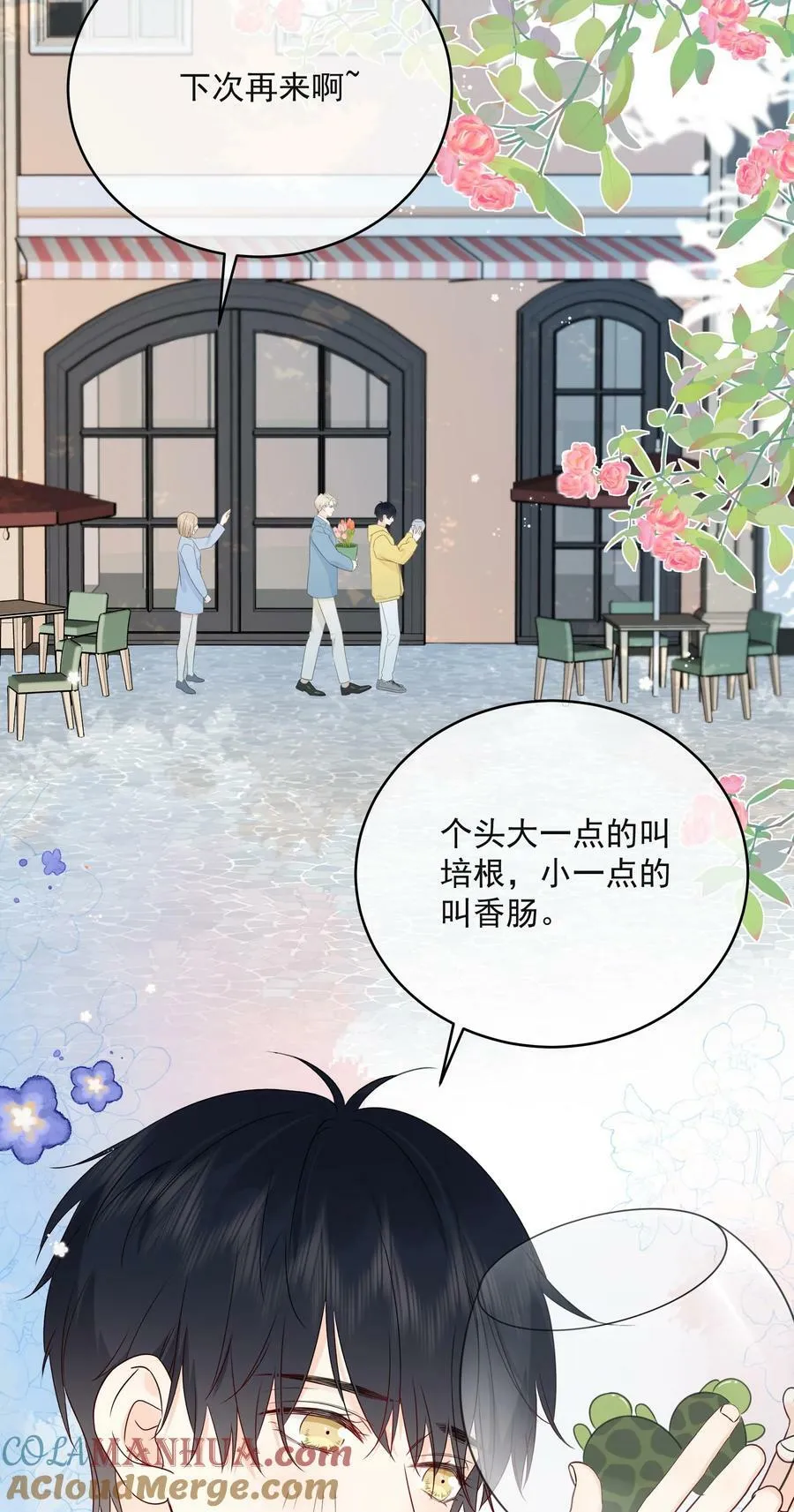 番外1 养猫轶事 第10页