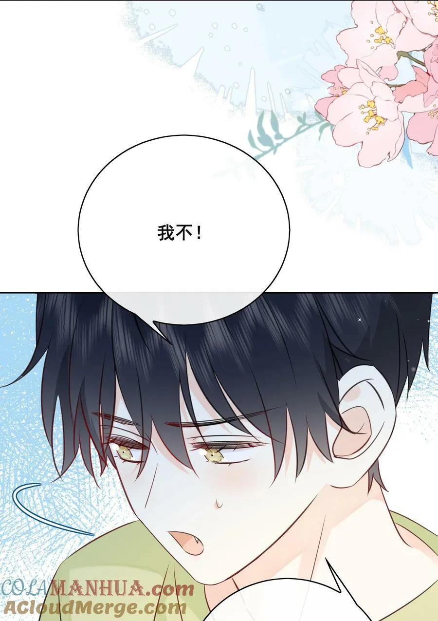 番外1 养猫轶事 第16页